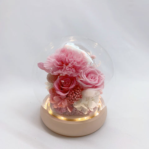 Glass Dome - Pink Carnation